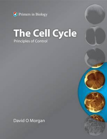 Buy The Cell Cycle (English, Paperback) Online at Best Price - GlowMirror