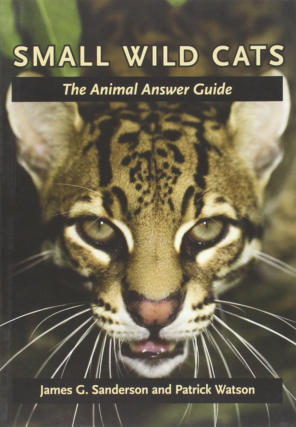 Buy Small Wild Cats: The Animal Answer Guide (Animal Answer Guide: Q&A for the Curious Naturalist) (English, Paperback, James G. Sanderson, Patrick Wat... Online at Best Price - GlowMirror