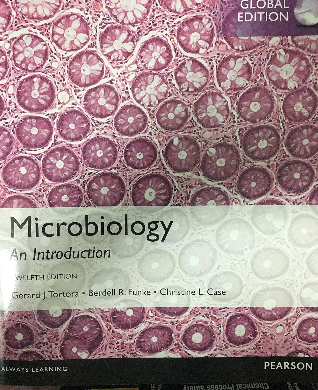 Buy Microbiology: An Introduction, Global Edition (English, Hardcover, Gerard Tortora, Berdell Funke, Christine Case) Online at Best Price - GlowMirror