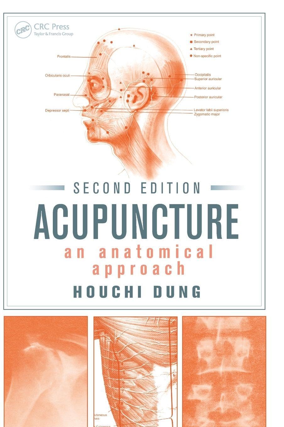 Buy Acupuncture: An Anatomical Approach (English, Paperback, Houchi Dung) Online at Best Price - GlowMirror
