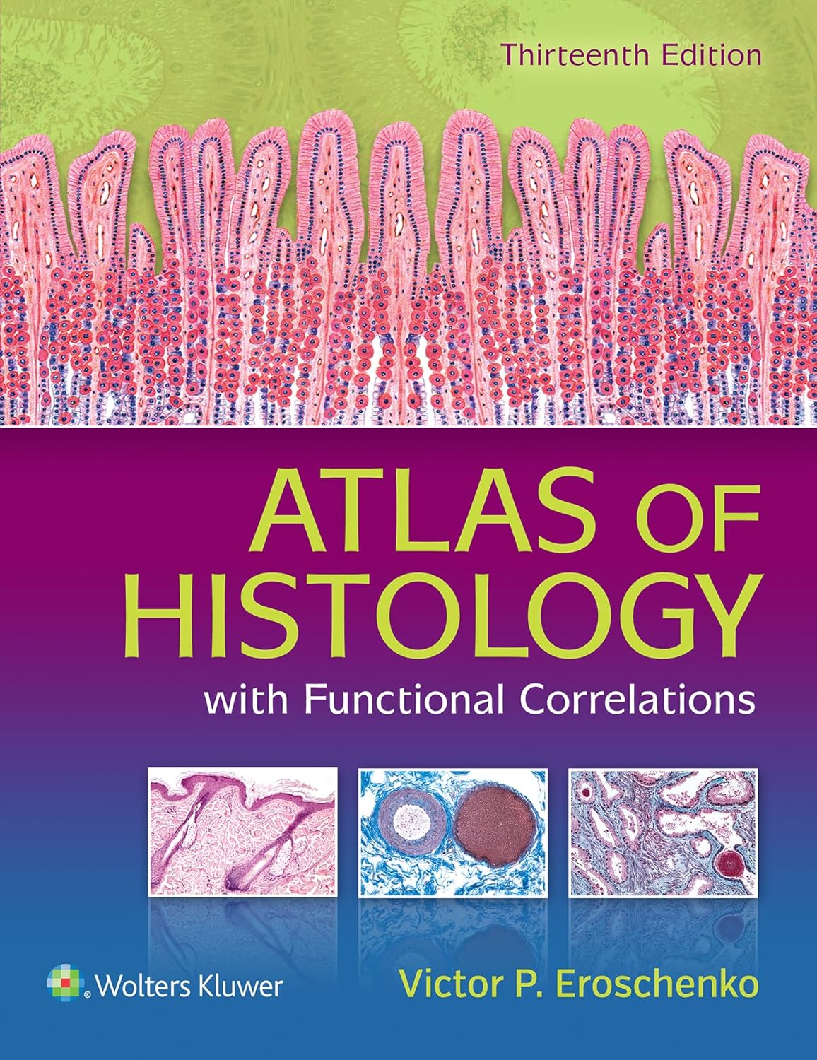 Buy Atlas of Histology With Functional Correlations (English, Paperback, Ph.D. Eroschenko, Victor P.) Online at Best Price - GlowMirror